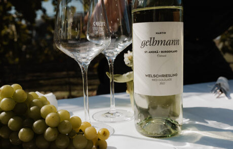 Weinflasche und Gläser im Weingarten Gelbmann